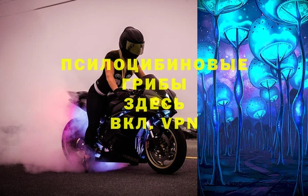 индика Аркадак