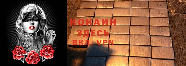 индика Аркадак