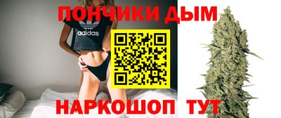 амф Гусев