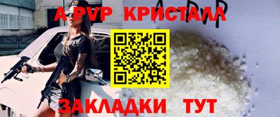 амф Гусев
