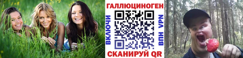 купить наркоту  Пушкино  Галлюциногенные грибы мухоморы 