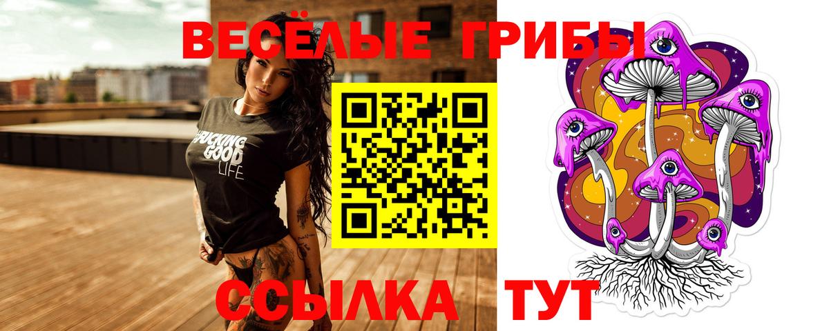 Пушкино  Галлюциногенные грибы прущие грибы  Галлюциногенные грибы MAGIC MUSHROOMS  Вход с VPN 